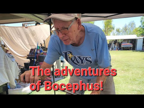 The Adventures of Bocephus