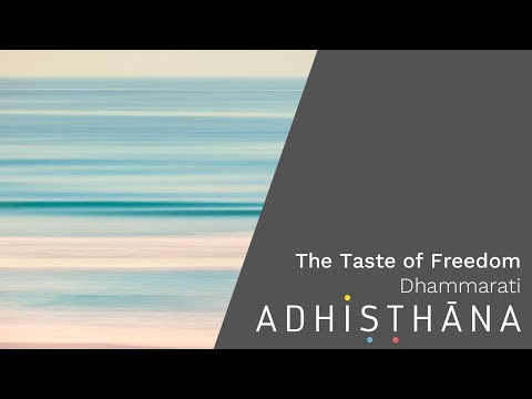 Taste of Freedom | International Sanghas retreat 2024