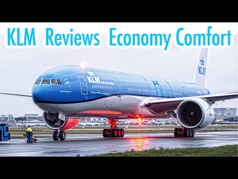 Airline Reviews