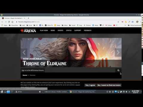Magic the Gathering Arena in Linux (Lutris)