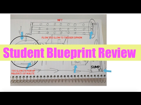 Aquaponics blueprint Review