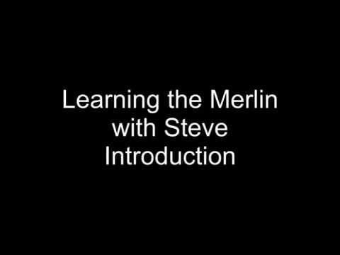 Learning the Merlin