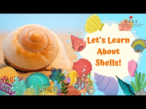 Marine Animal videos for kids