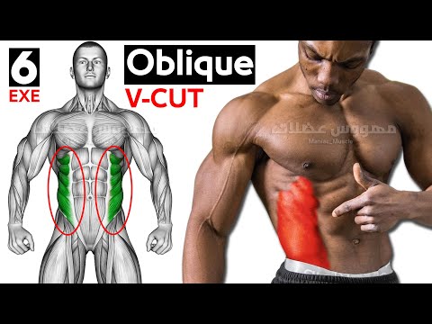muscle maniac v Cut abs
