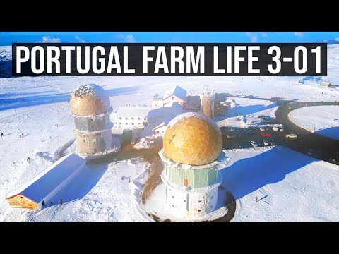 SEASON 3 - Portugal Farm Life