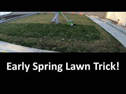 Full Season Lawn Care. Tips, Tricks & How To