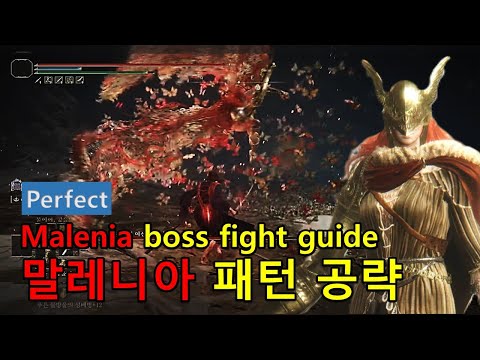 [Elden Ring] Malenia Boss Fight Guide (말레니아 보스전 가이드)