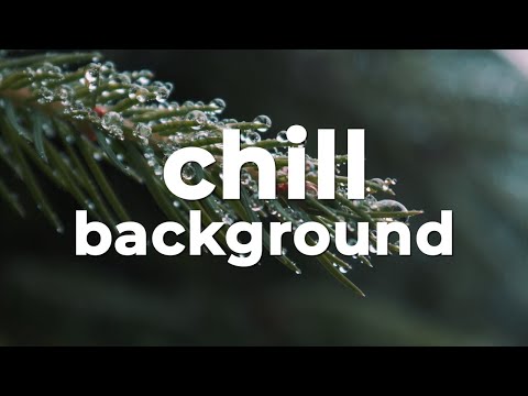 🎑 Free Background Music (For Videos)