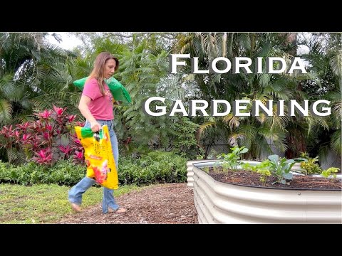 Florida Gardening Vlog 2024 - Members Only