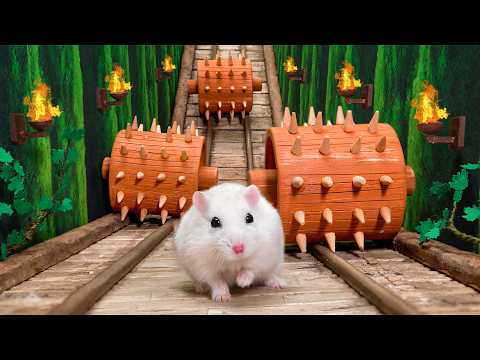 ⚔️ Hamster in the Roman Maze