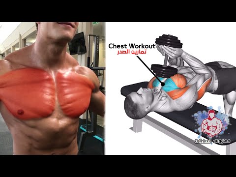 Maniac Muscle Chest Workout 🍖