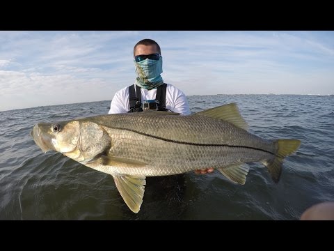 Florida Wade Fishing