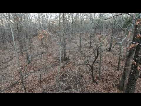 Bow hunting videos