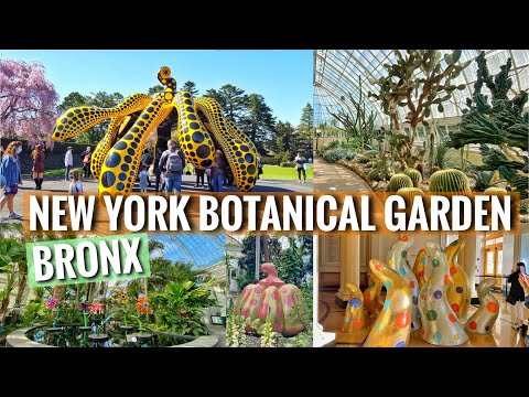 New York Botanical Garden Tour 2021