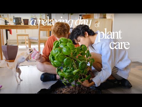 Relaxing Plant Care