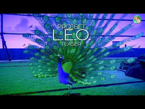 Project L.E.O.