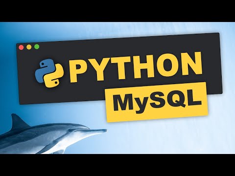 📊 Datenbanken | Python Tutorial (Deutsch)