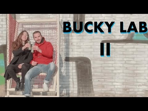 Bucky Lab