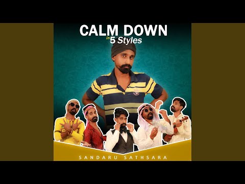 Calm Down (in 5 Styles)