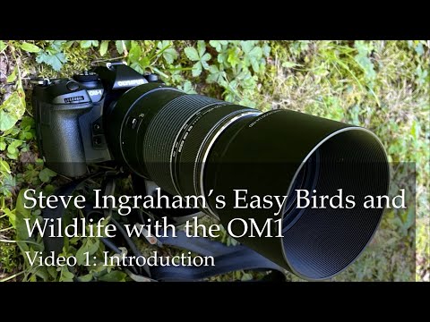 SI’s Easy Birds and Wildlife with the OM1