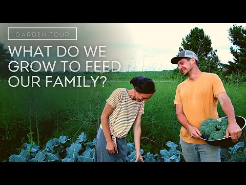 What We Grow to Feed Our Family