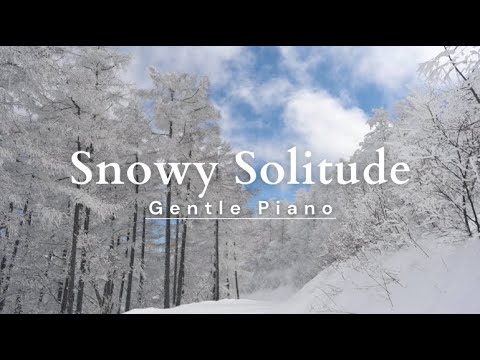 Winter Scenes With Music ♬