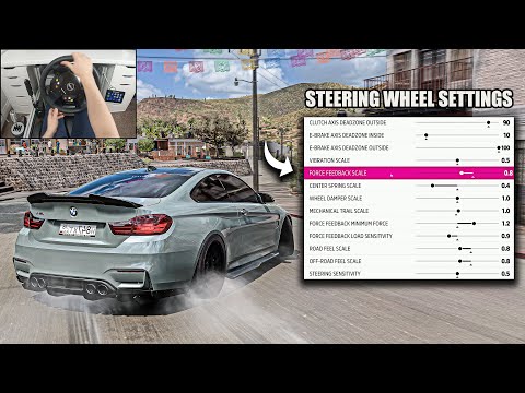 Steering Wheel Settings