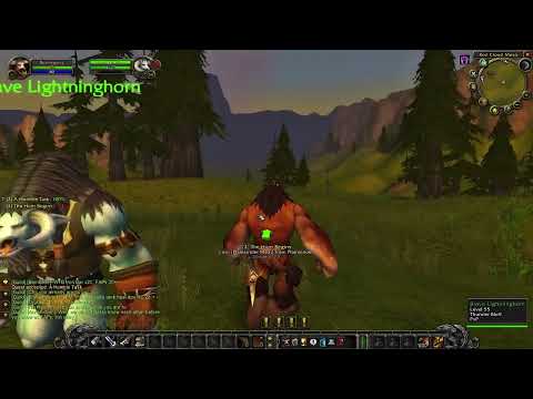 WoW Classic (Turtle WoW Private Server)