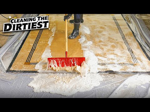Cleaning The Dirtiest [RUGS]