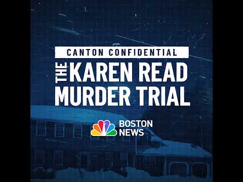 The Karen Read Murder Trial (analysis podcast)