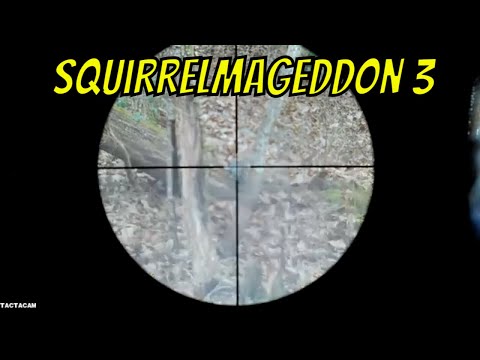 Squirrel Hunting