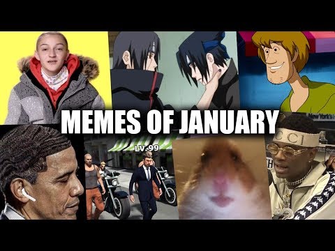 Memes of 2019
