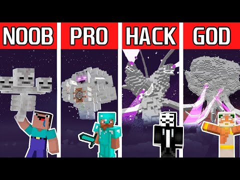 Noob VS Pro | Minecraft