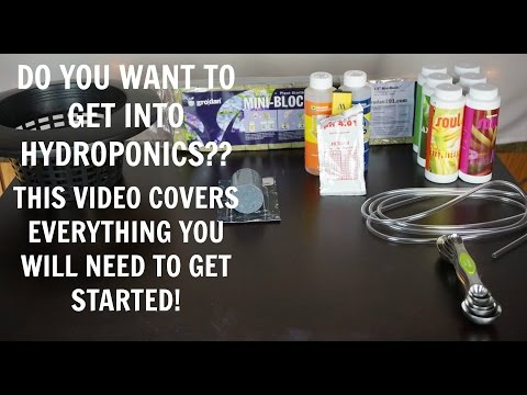 Hydroponic Growing Systems | Homemade DIY