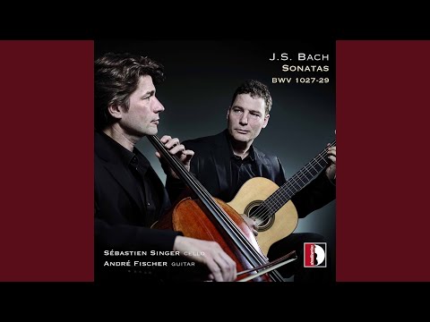 Bach: 3 Viola da Gamba Sonatas, BWV 1027-1029
