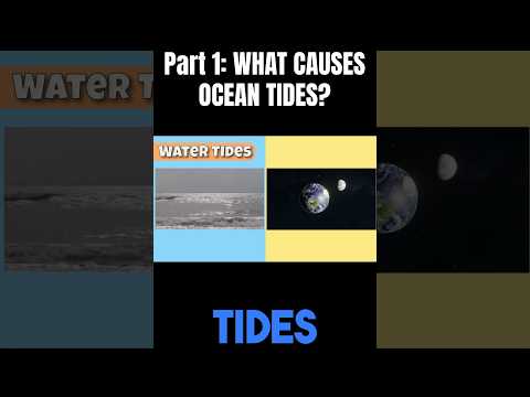 Science | Ocean Tides