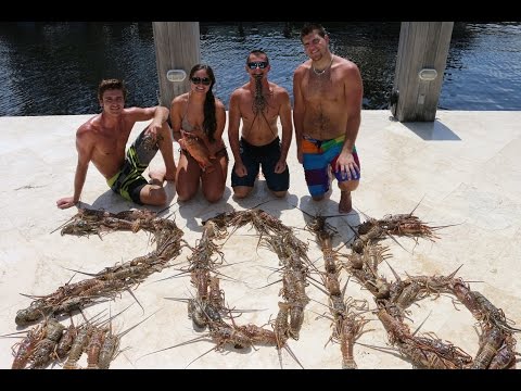 Freediving and Lobster!