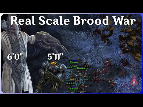 Real-Scale Brood War Protoss