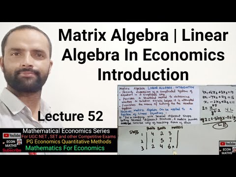 Matrix algebra in economics