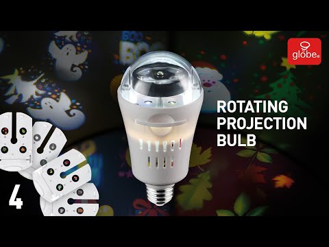 Discover Bulbs | Globe Electric