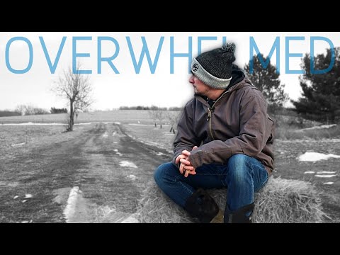 Overcoming Overwhelm and Obstacles on the Homestead