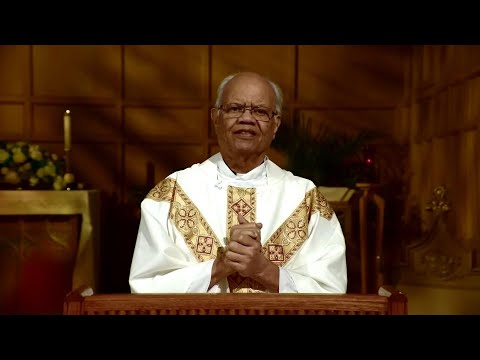 Daily TV Mass | Videos