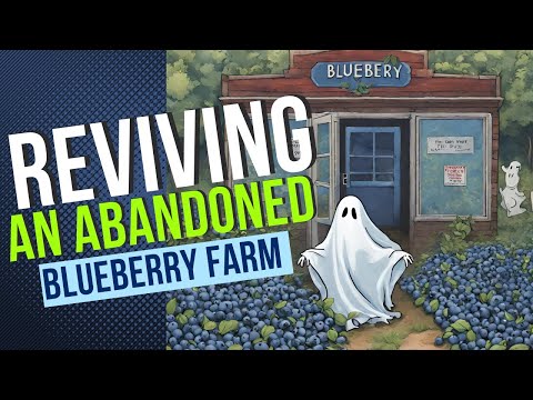 Saving a Blueberry Farm