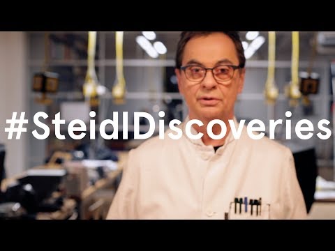 Steidl Discoveries
