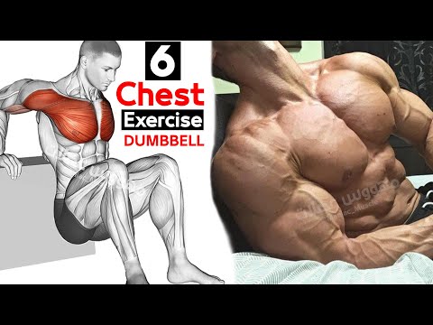 DUMBBELL Chest Exercises Workouts
