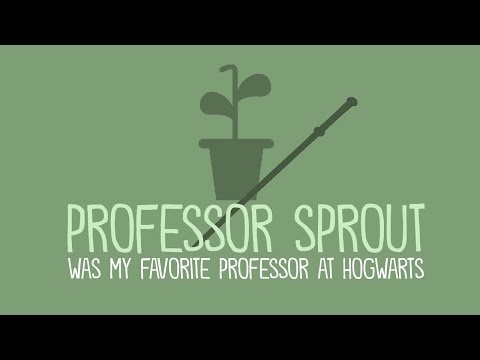 Everything I Need to Know About Teaching, I Learned from Hogwarts