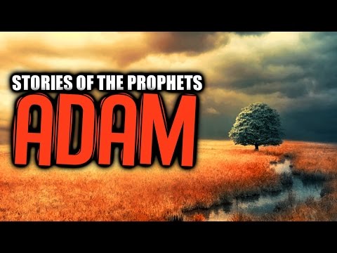 Stories Of The Prophets
