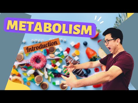 Biochemistry - Metabolism