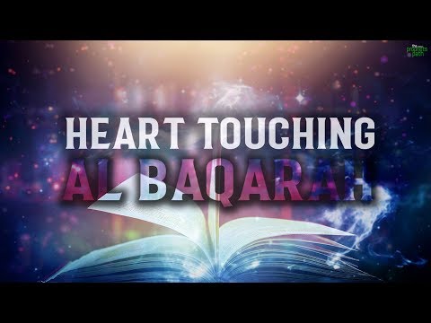 THE WORDS OF YOUR CREATOR - FULL QURAN SERIES
