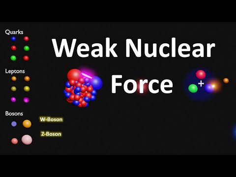 Nuclear Physics | Radiations